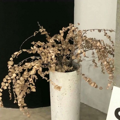 Furry兽设设计实用干货FurryQQ群